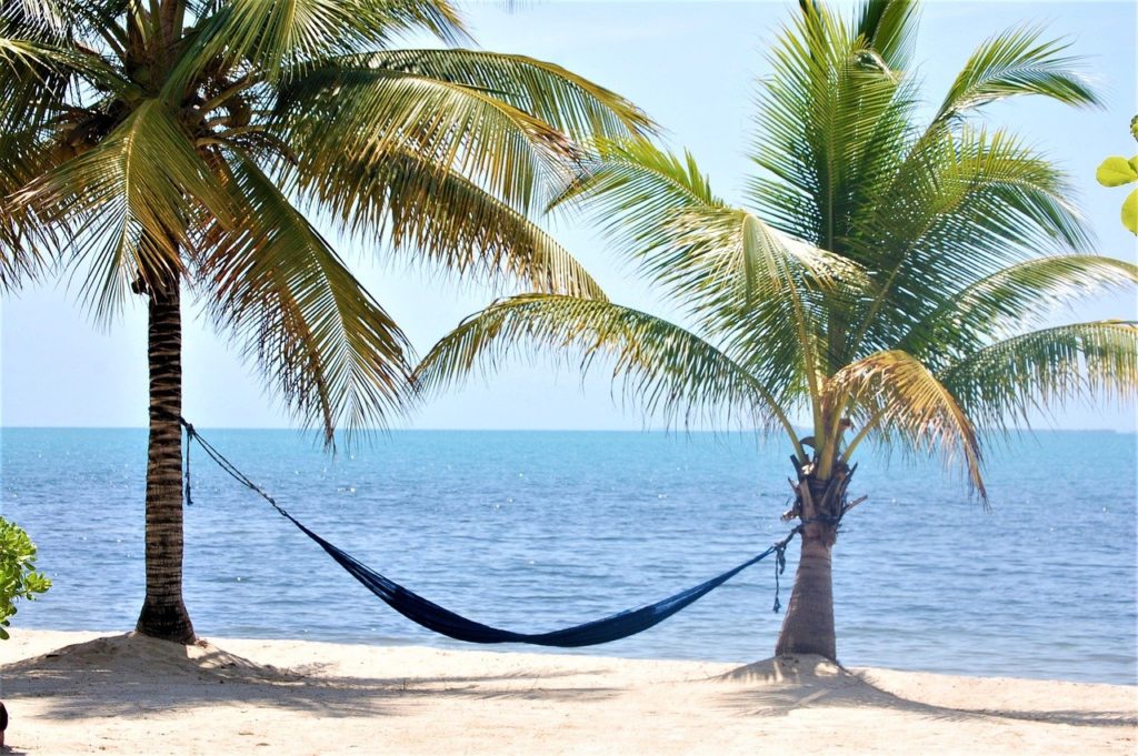 Life in a hammock