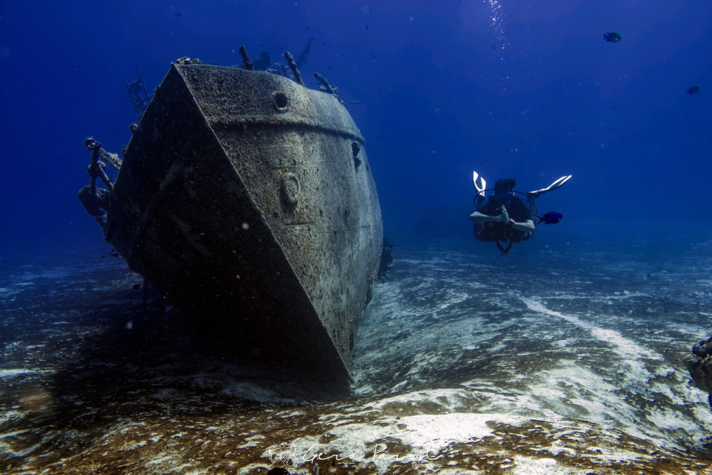 Cozumel es el Paraíso
