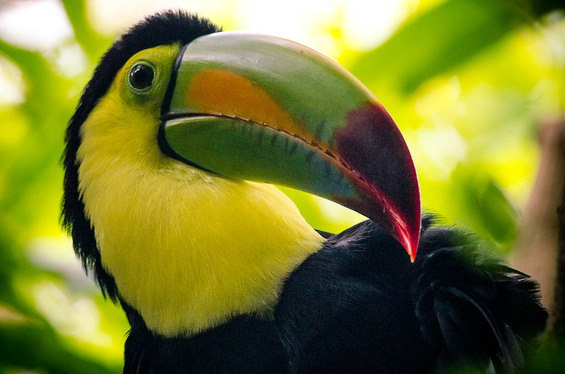 Reserva de Sian Ka'an